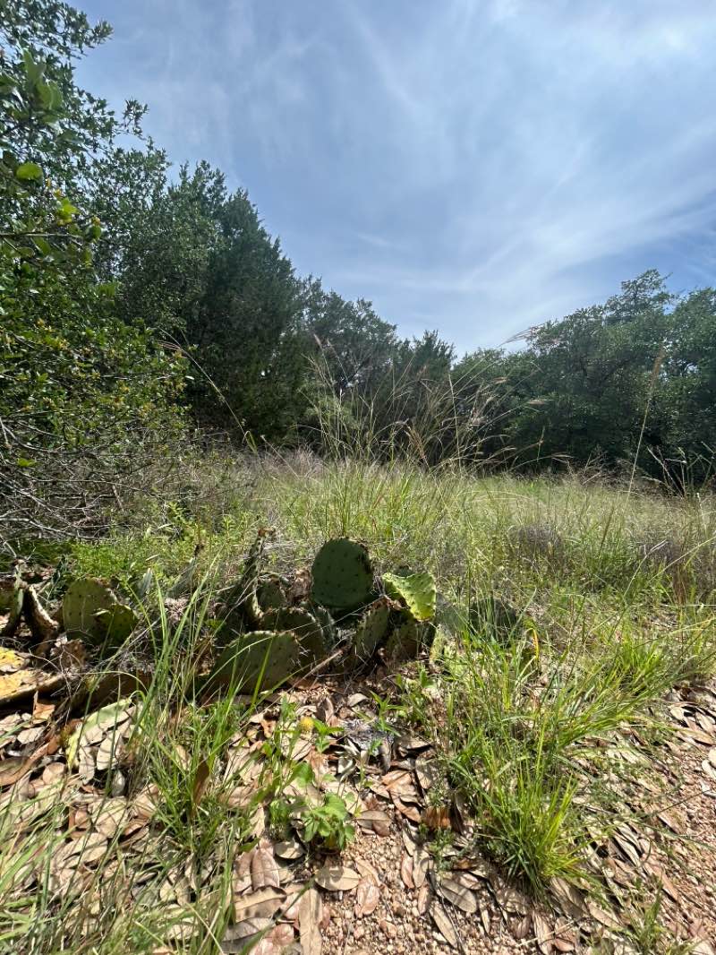 walking near me in Blue Hole Regional Park in spring