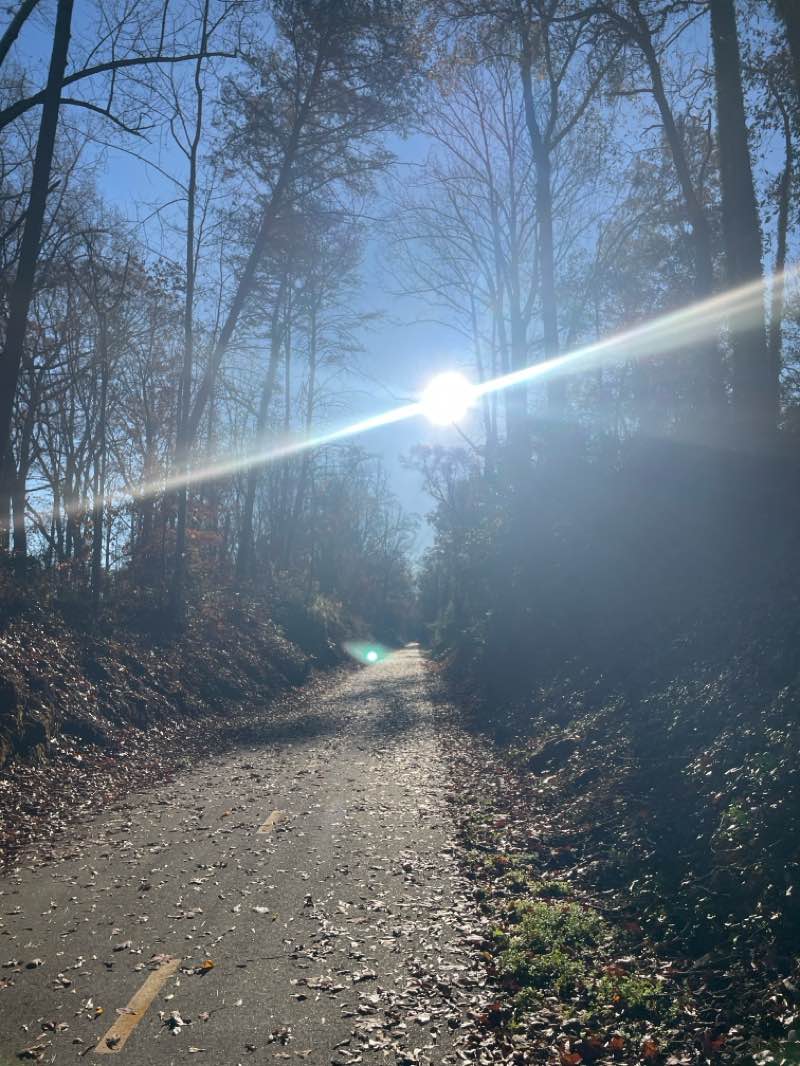 walking near me in Flying Rabbit Adventures in autumn