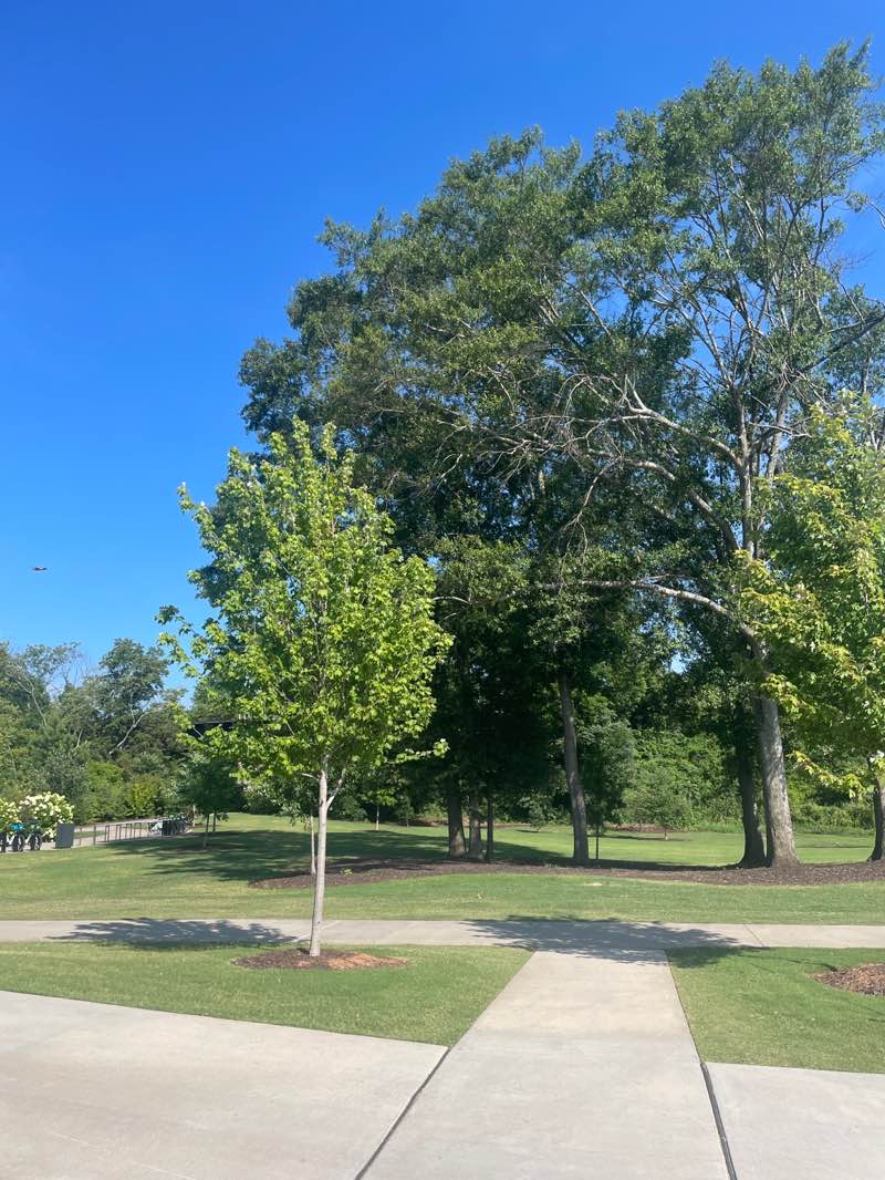 walking near me in Unity Park in summer