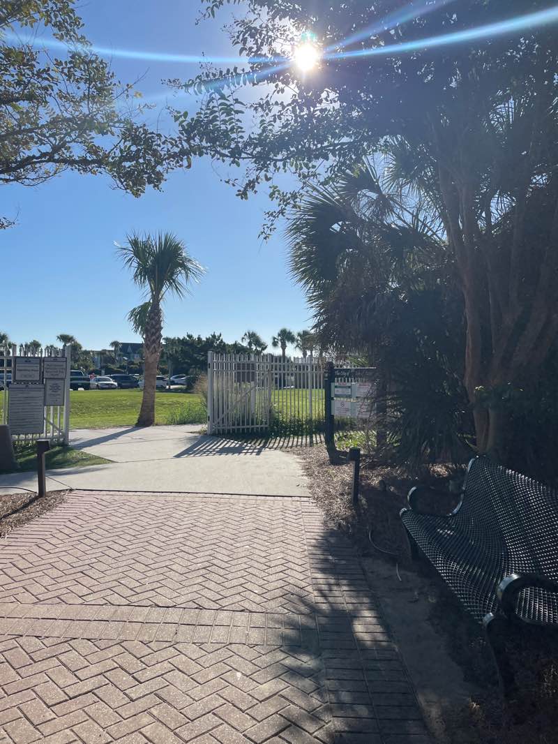walking near me in Isle of Palms County Park in autumn