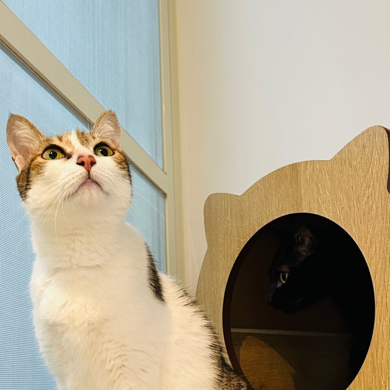 人力資源部 游雅琳 profile