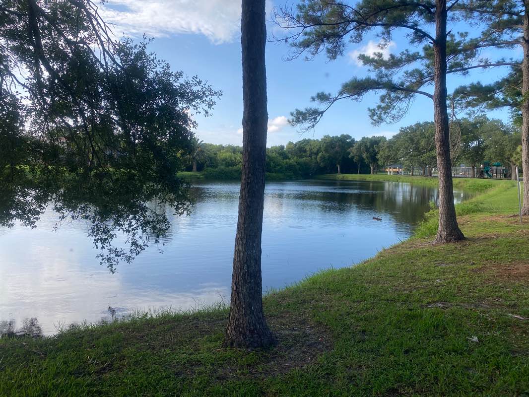 walking near me in Westbrooke Park in summer
