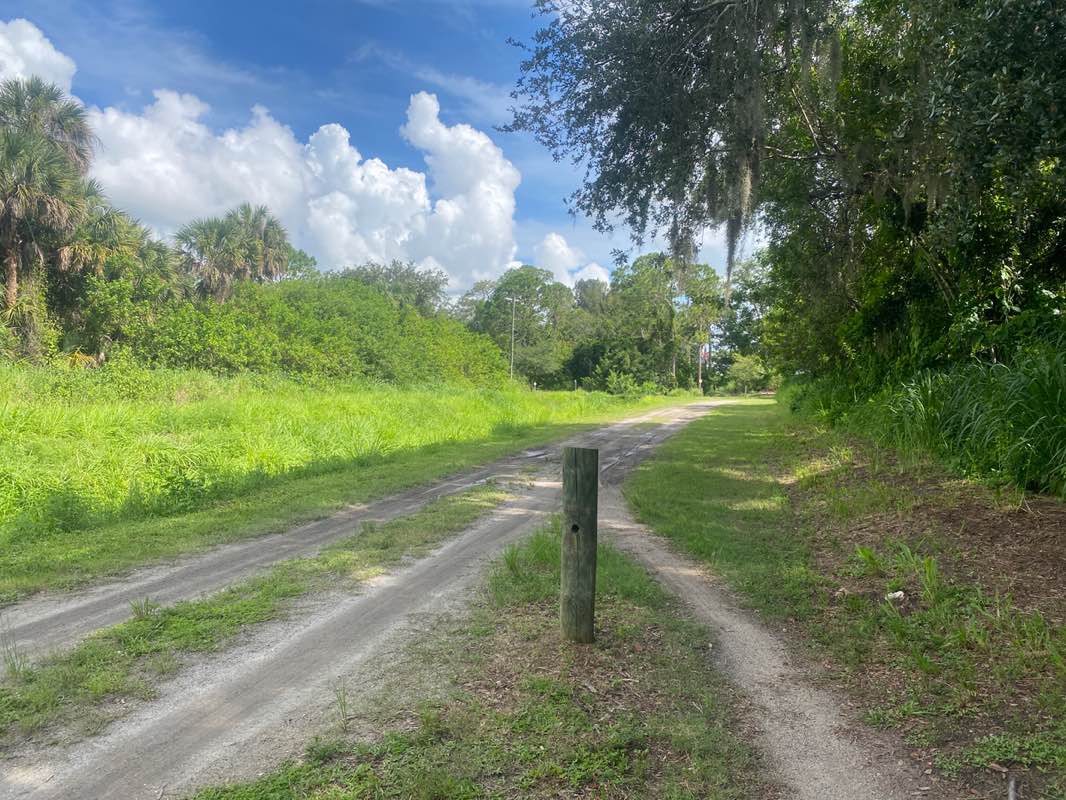walking near me in Grapefruit Bike Trails in summer