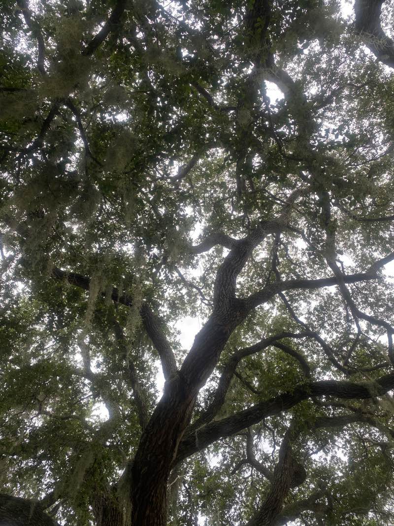 walking near me in Carver Community Park in summer