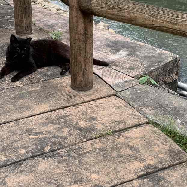 商品部 謝丞泓 post 2