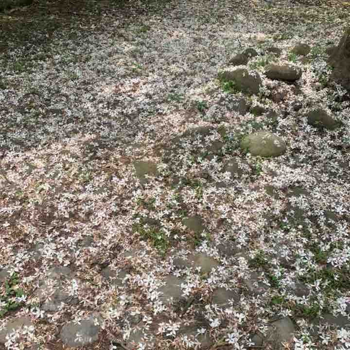 商品部 謝丞泓 post 3