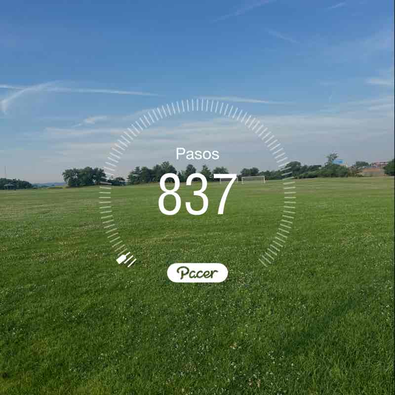 Alexander Pleitez post 1