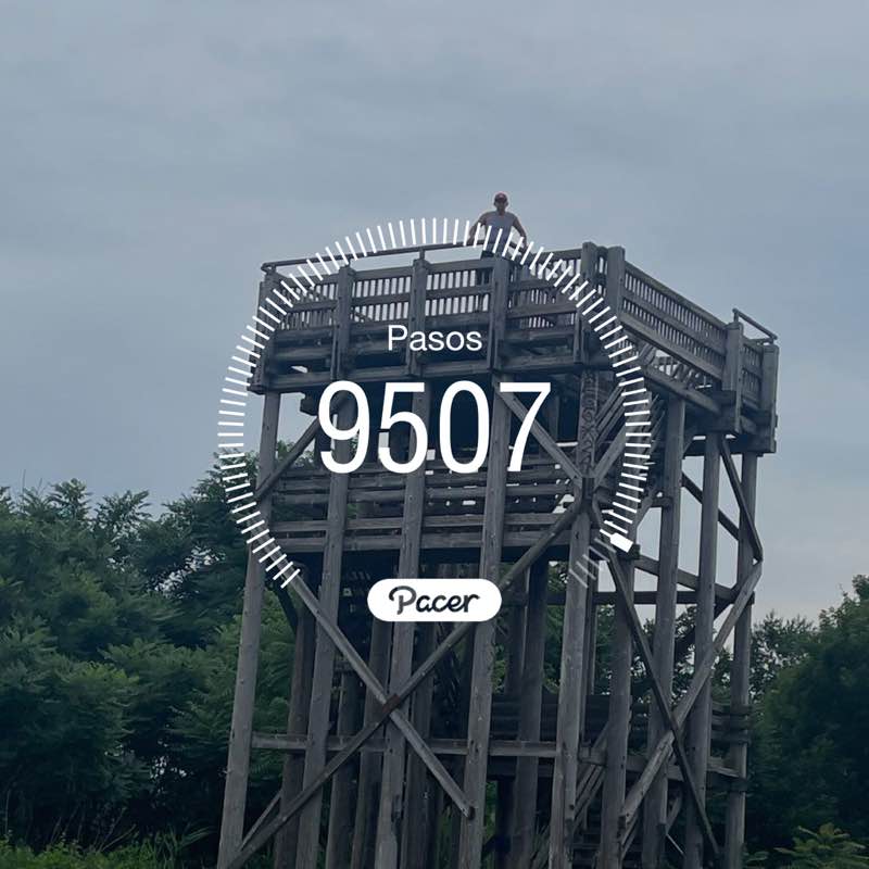 Alexander Pleitez post 1