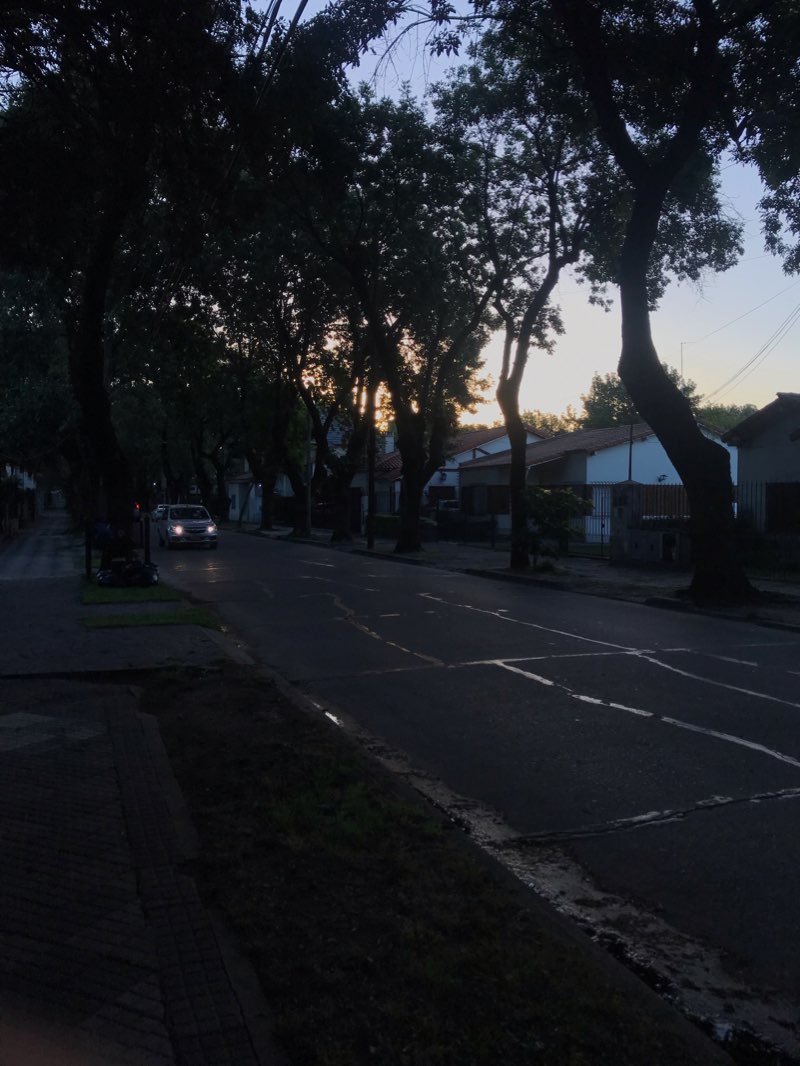 walking near me in Parque Amat in summer