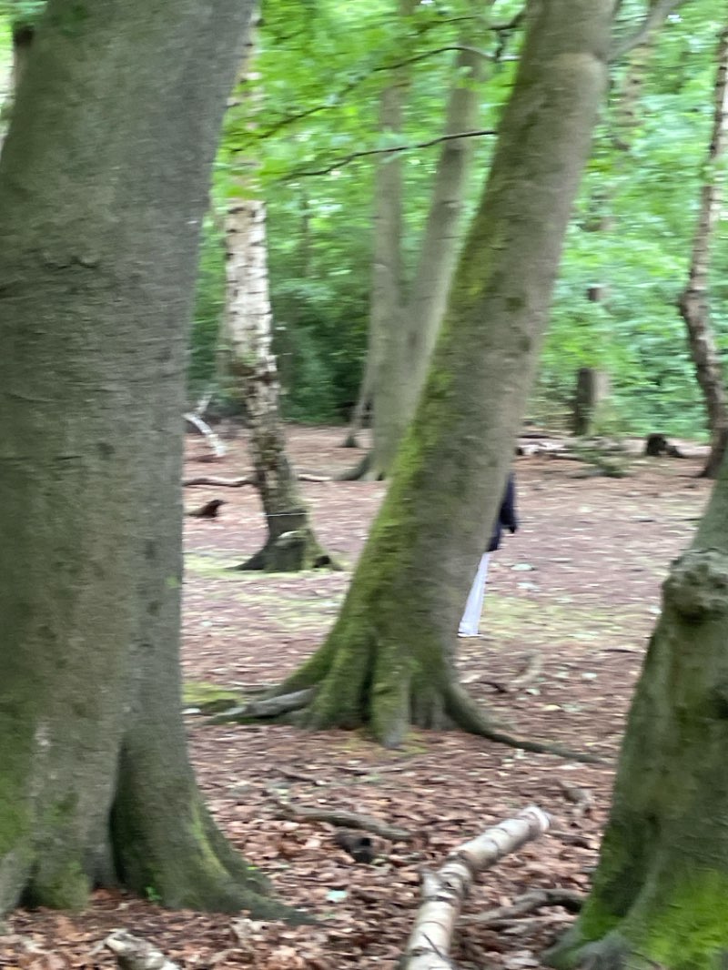 walking near me in Eastham Ferry in summer