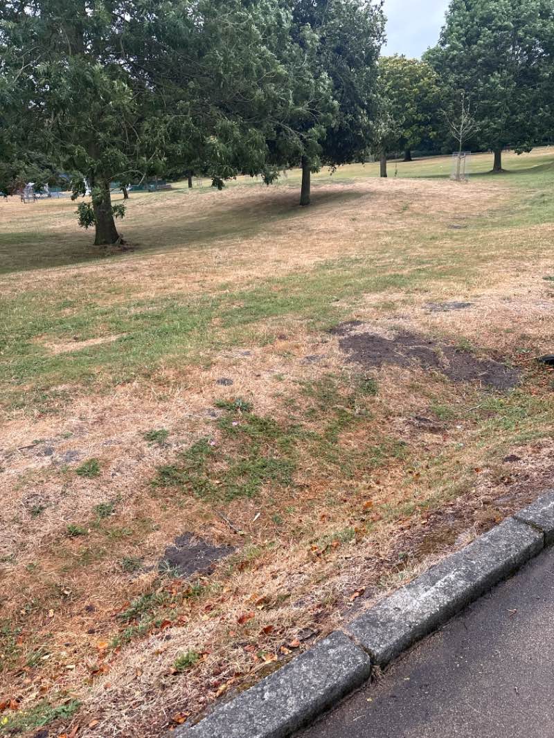 walking near me in Hale Park in summer