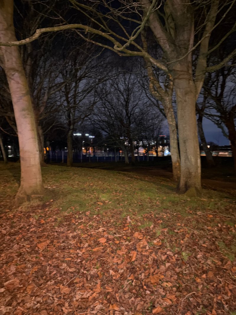 walking near me in Phythian Park in winter