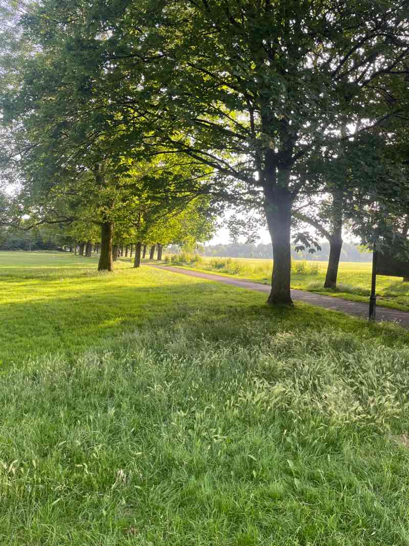 walking near me in Newsham Park in summer