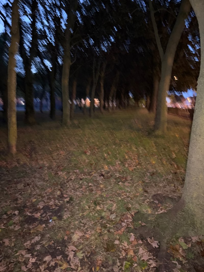 walking near me in Phythian Park in autumn