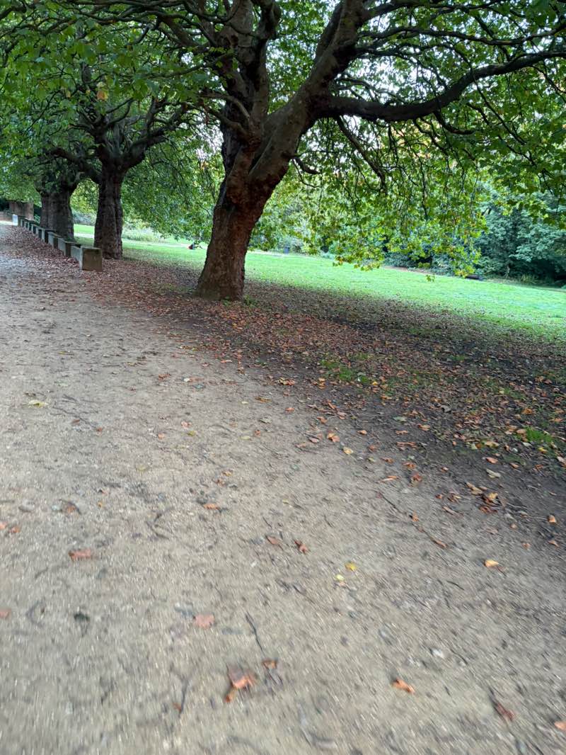 walking near me in Wavertree Botanic Gardens in autumn