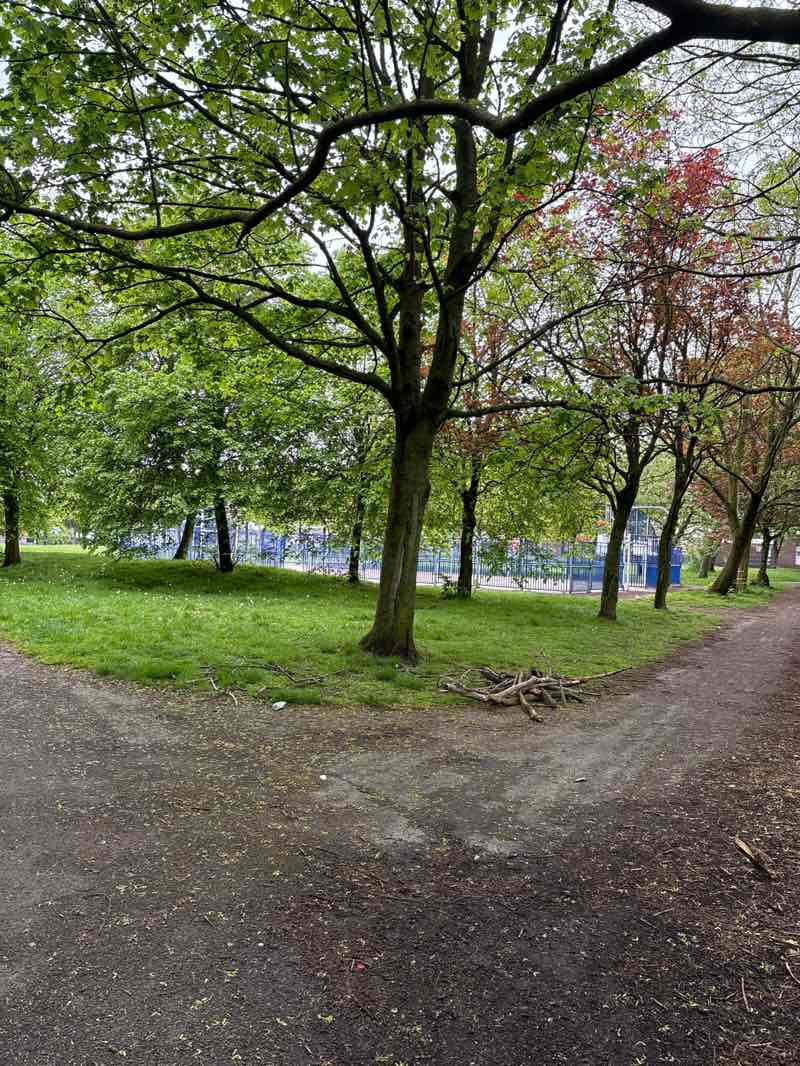 walking near me in Phythian Park in spring