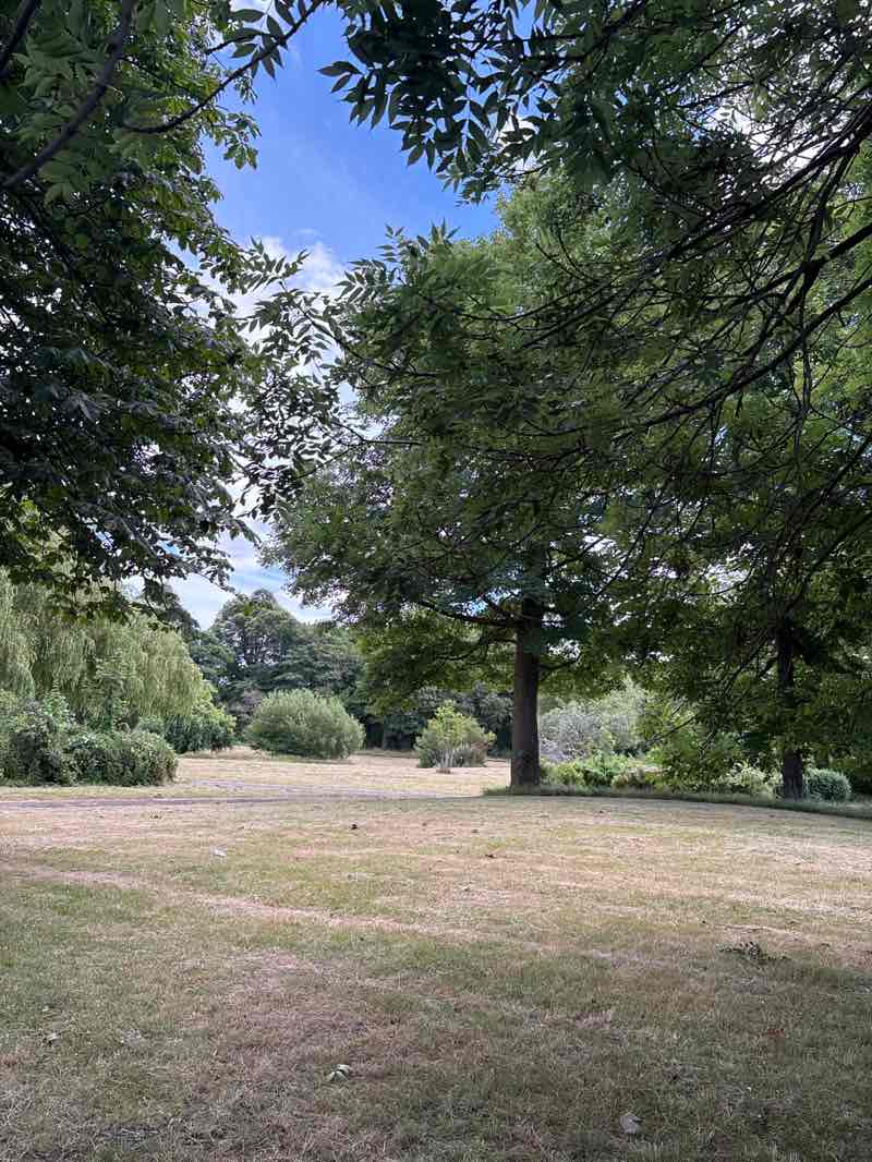 walking near me in Newsham Park in summer