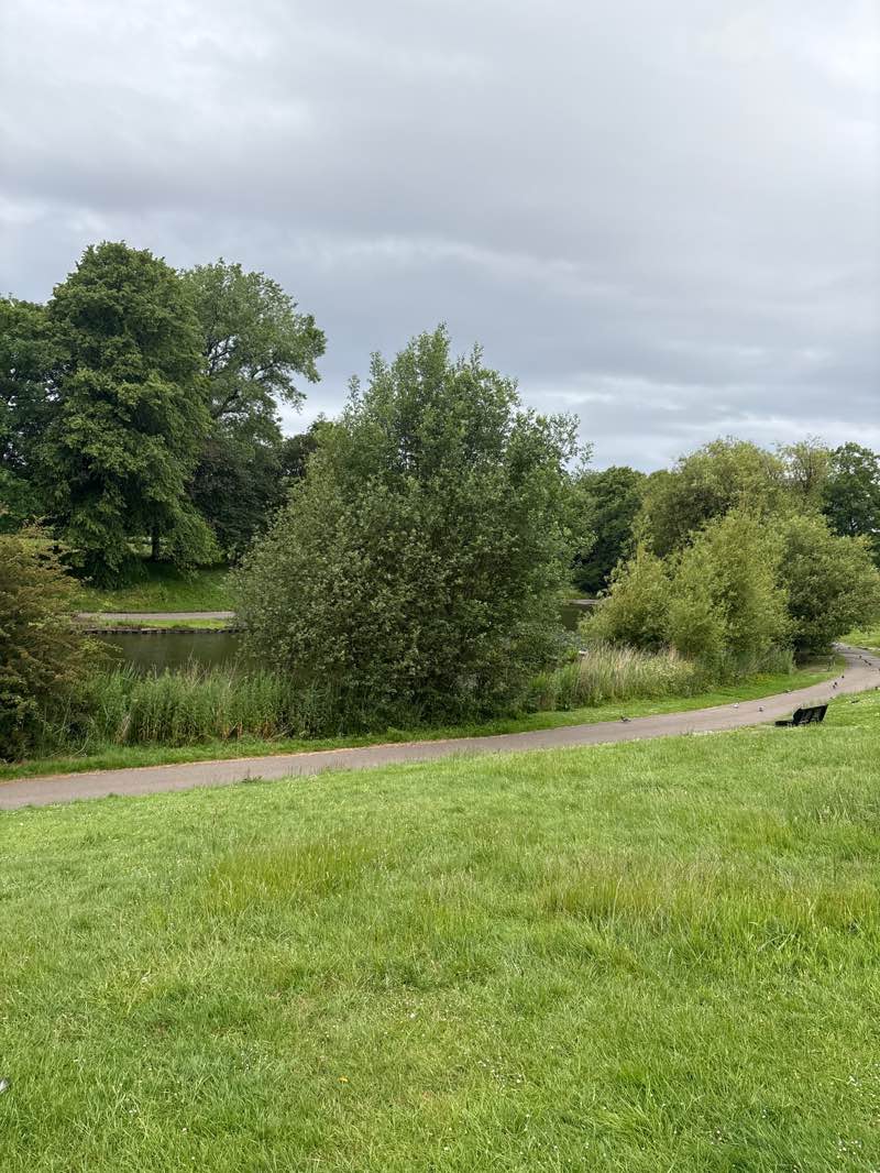 walking near me in Greenbank Park in summer