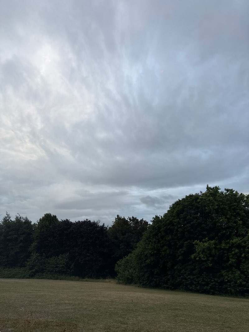 walking near me in Everton Park in summer