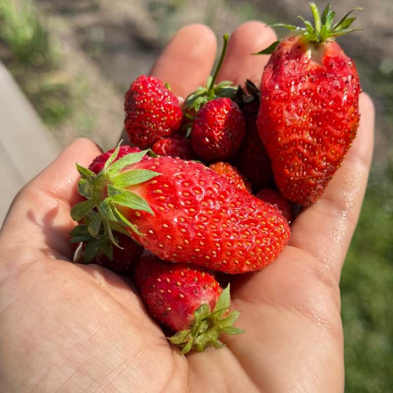 🔥Анюта🔥 post 2