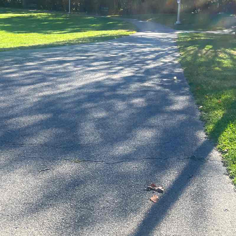 MadamThereSheGoes💎 post 2