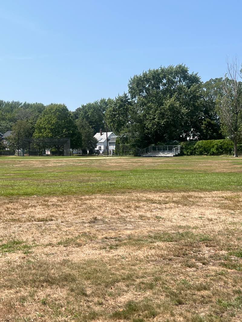 walking near me in West Newton Common in autumn