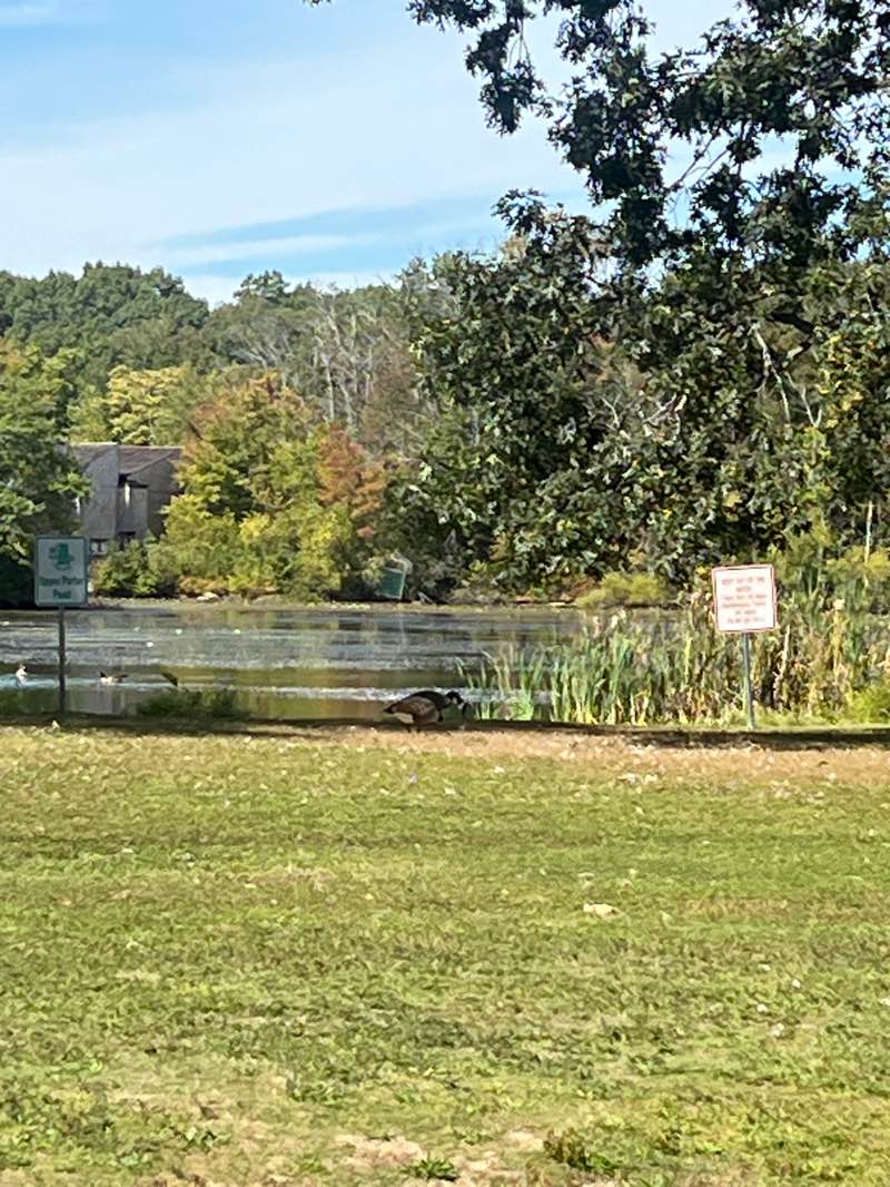 walking near me in D W Field Park in autumn