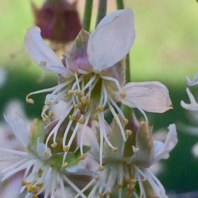 Татьяна post 1