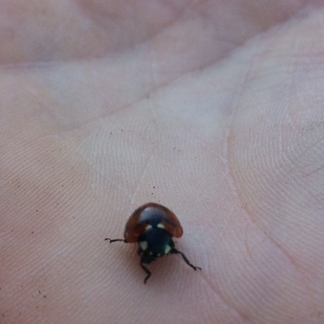 Татьяна post 3