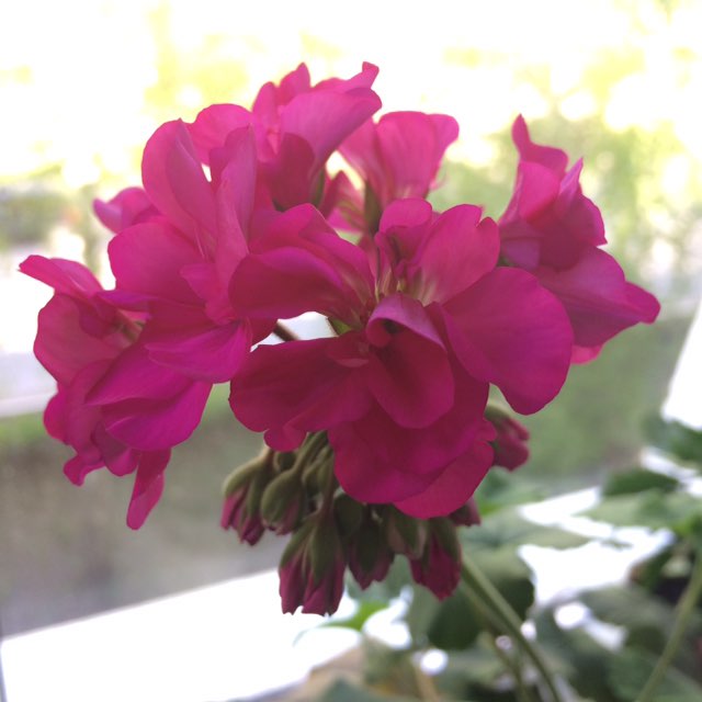 Татьяна post 3