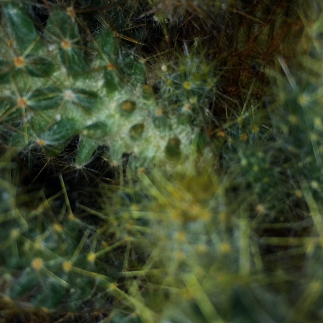 Татьяна post 2