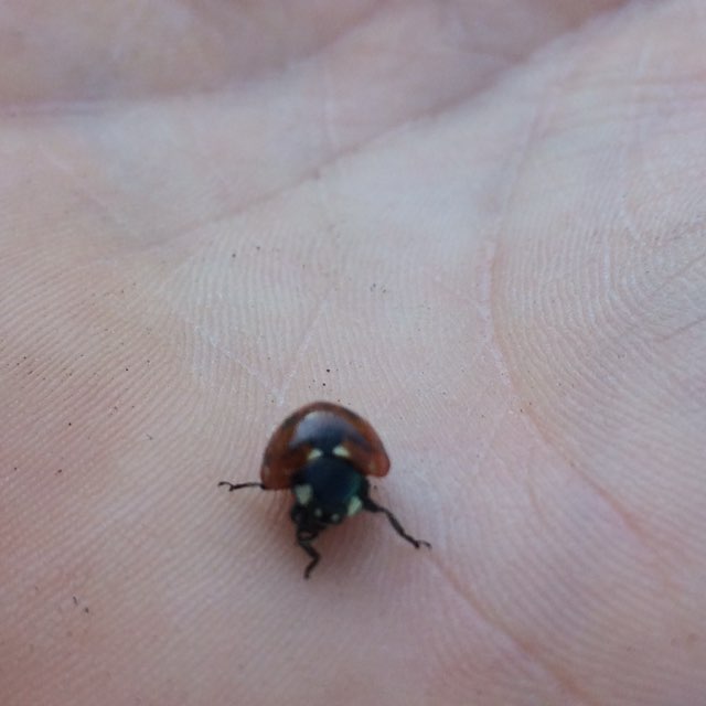 Татьяна post 3