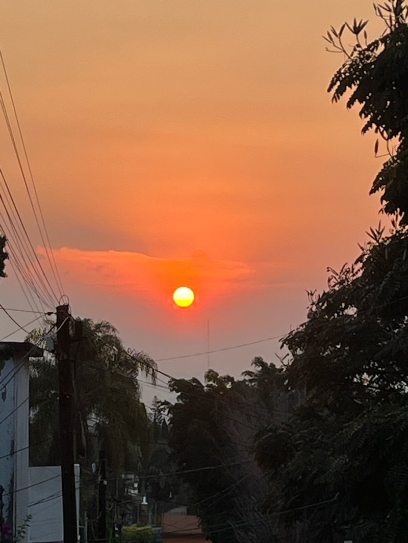 walking near me in Parque Reforma Tercera sección in winter