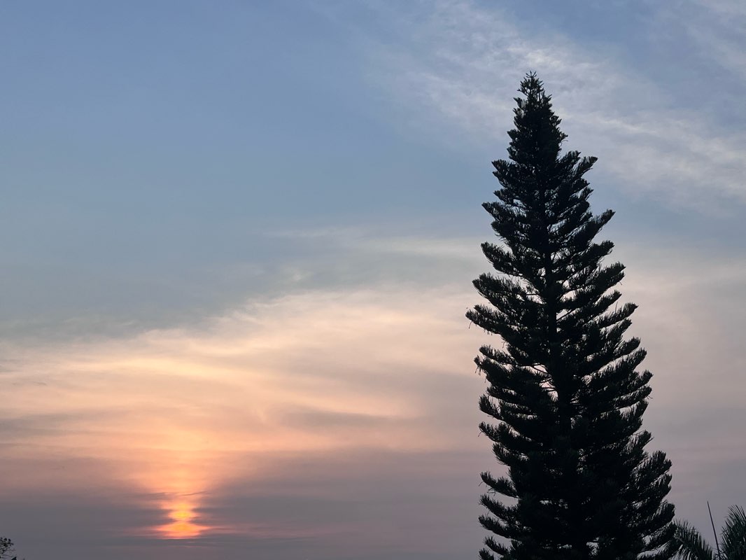 walking near me in Ciclopista Cuernavaca in winter