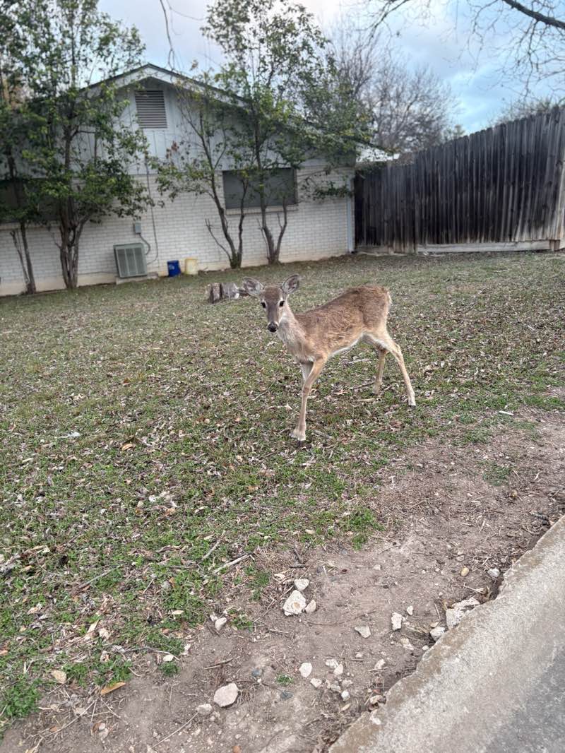 walking near me in Lytle Park in spring