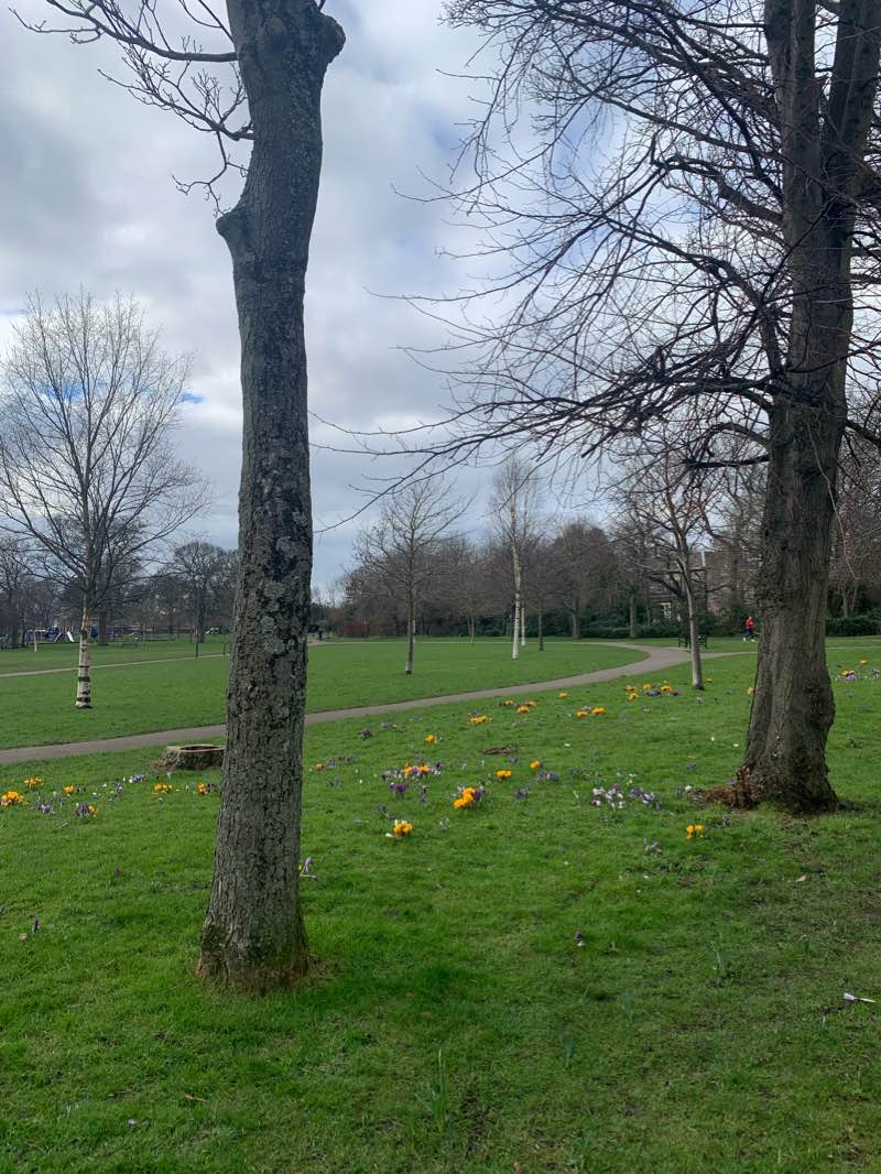 walking near me in Pilrig Park in winter
