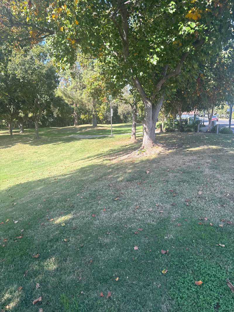 walking near me in Sierra Meadows Park in autumn