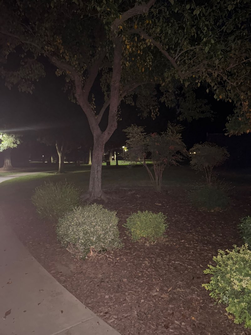 walking near me in Hillcrest Park in autumn