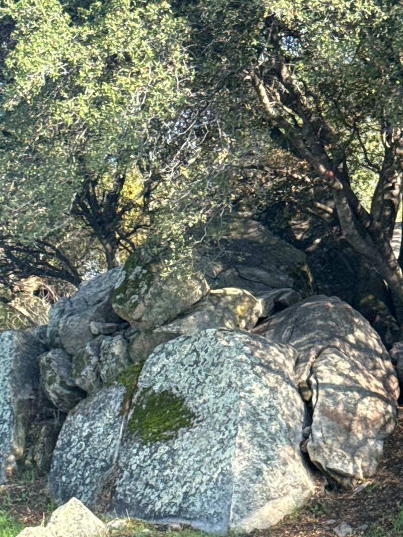 walking near me in Peter Hill Heritage Park in autumn