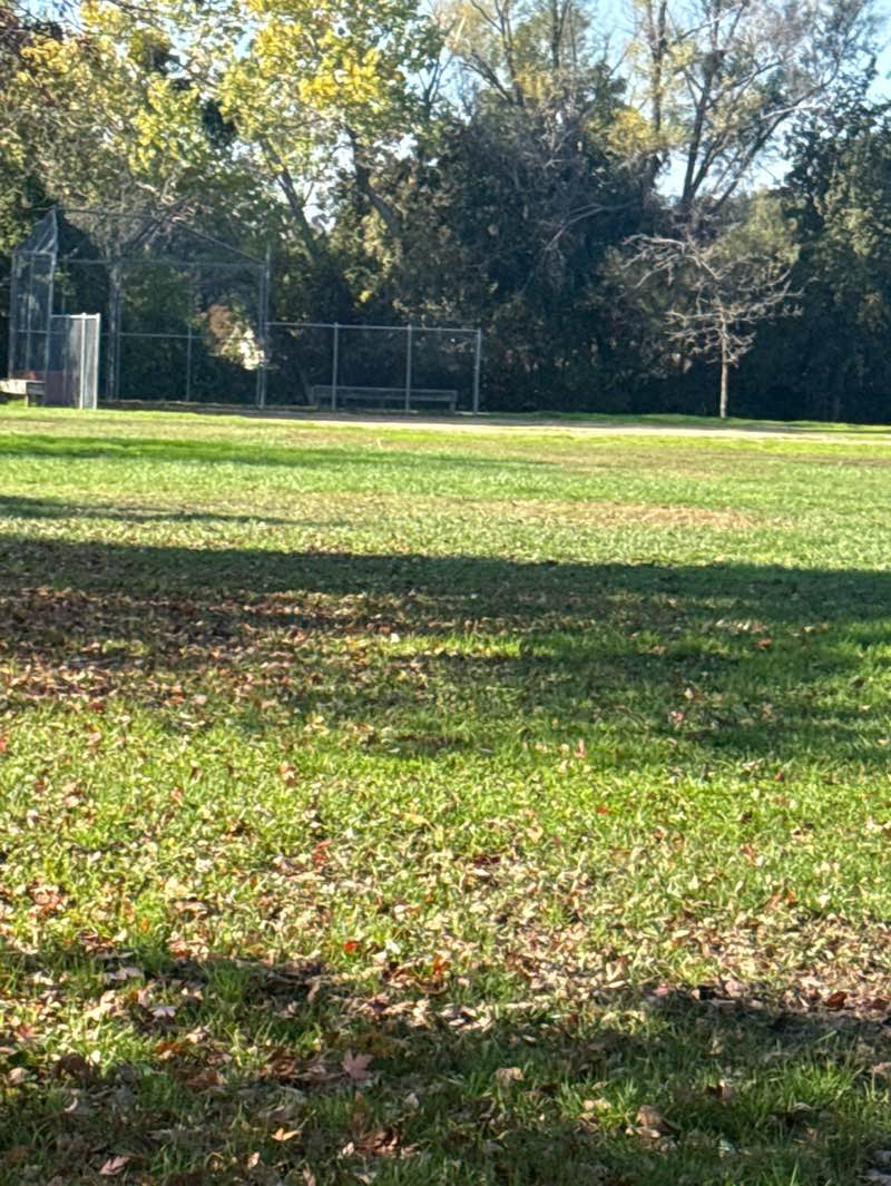 walking near me in Sunrise Loomis Community Park in autumn