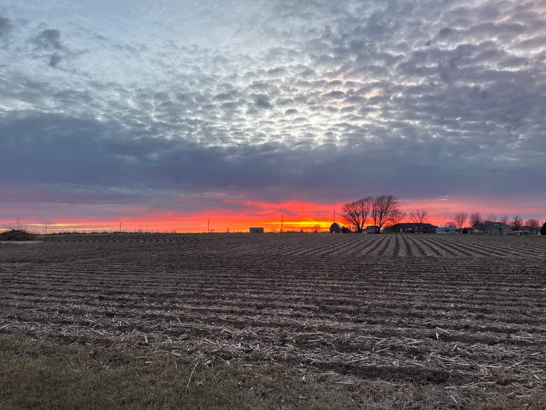 walking near me in Brad Niewoehner Memorial Park in winter
