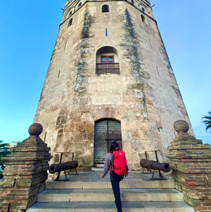 Ysa De Jesus profile