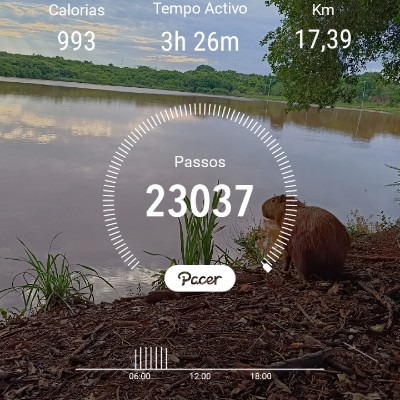 o melhor de cada um ulisses barbosa post image