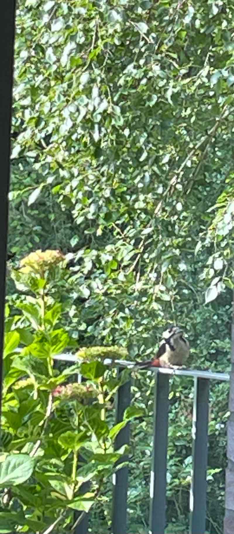 walking near me in Stadtpark in winter