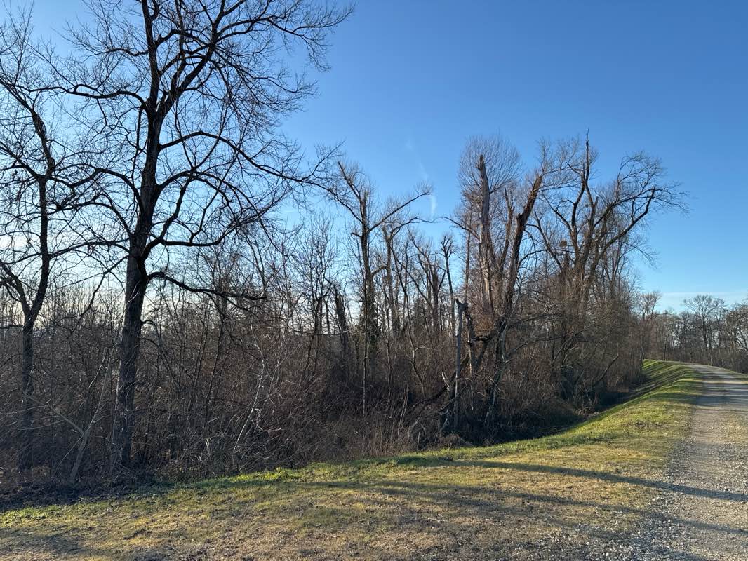 walking near me in Stadtpark in winter