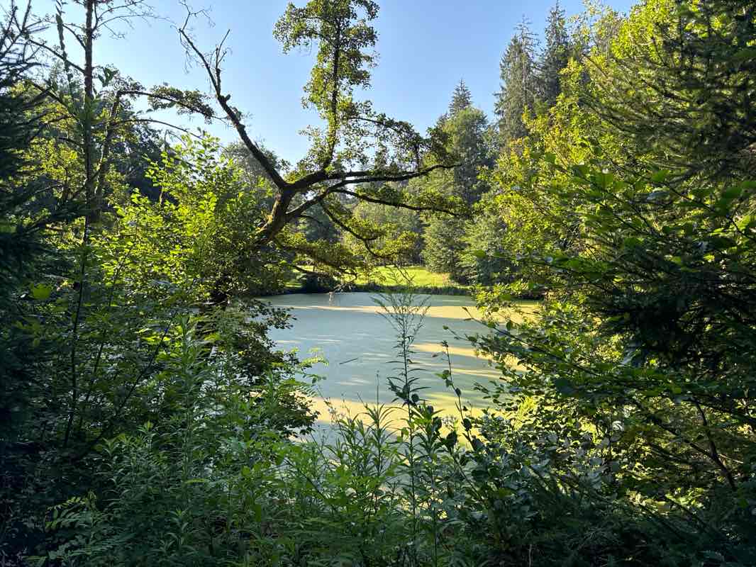 walking near me in Schillerpark in winter