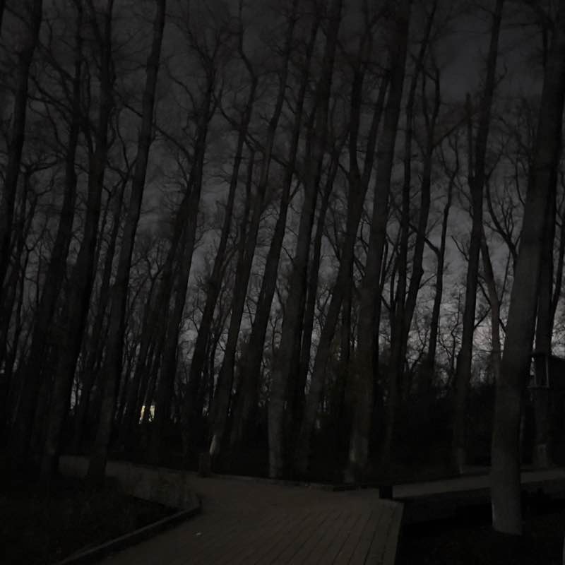 RUN Makhachkala RUN Makhachkala post image