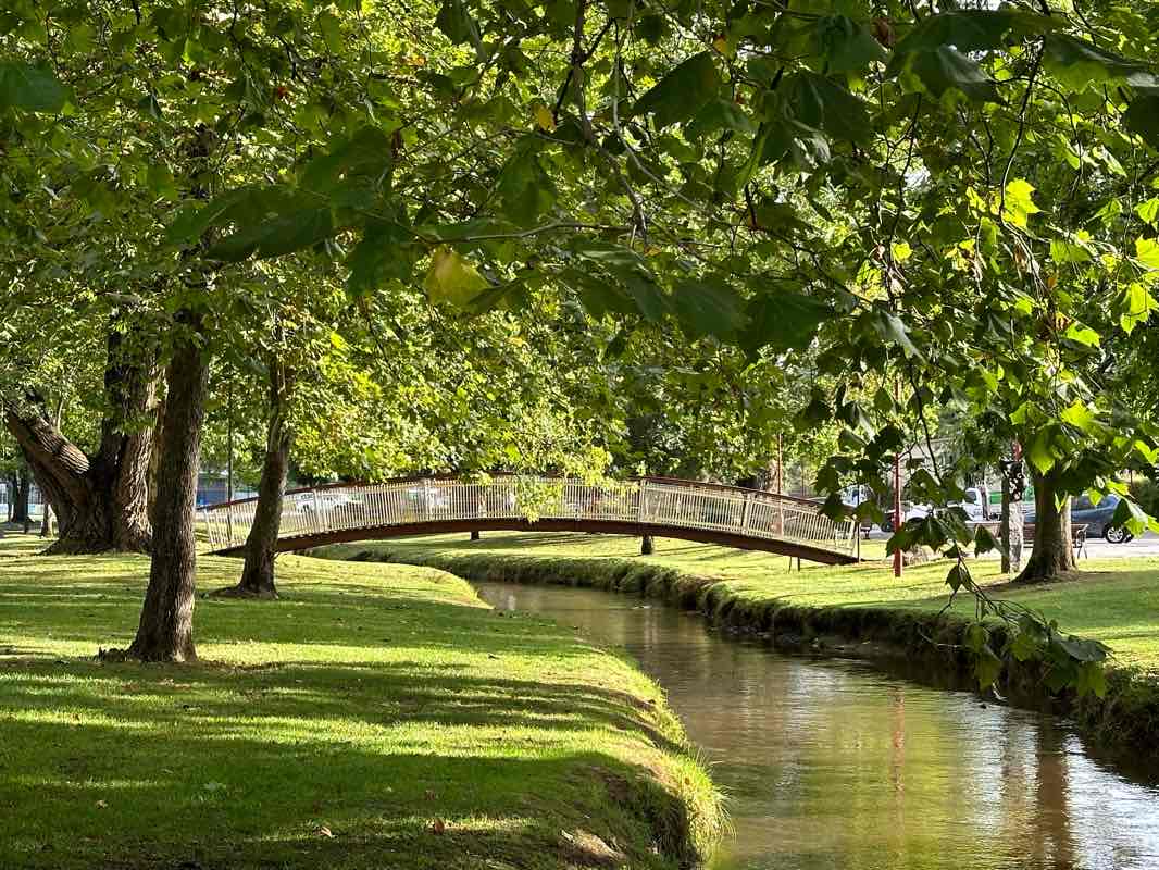 walking near me in Goldfields Heritage Park in summer