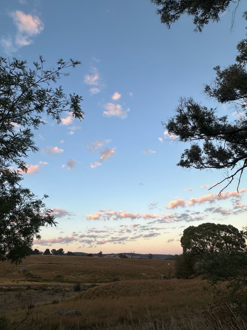 walking near me in Botanical Garden in summer