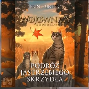 laser_dragonzzz profile